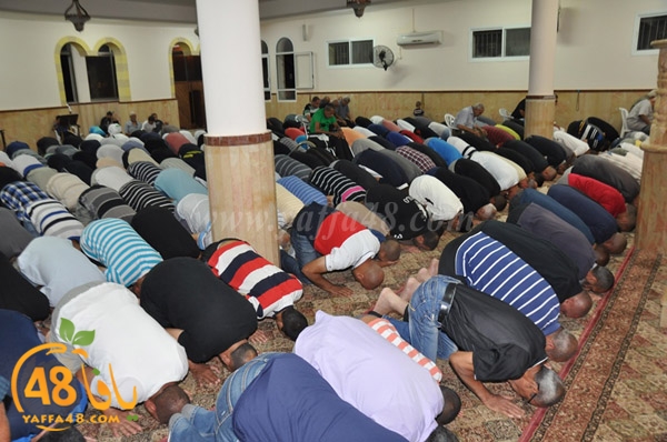 tarawee7 3ajamiwj (13).JPG